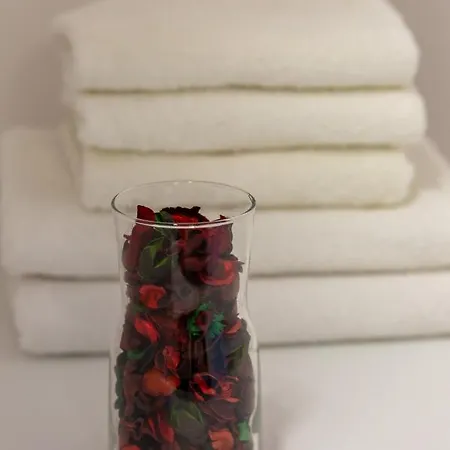 Nova Ochota Lopuszanska By Renters *